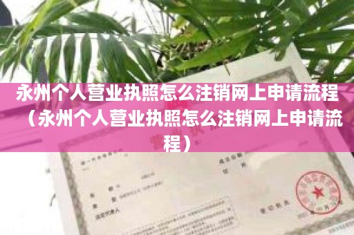 永州个人营业执照怎么注销网上申请流程（永州个人营业执照怎么注销网上申请流程）