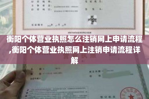 衡阳个体营业执照怎么注销网上申请流程,衡阳个体营业执照网上注销申请流程详解