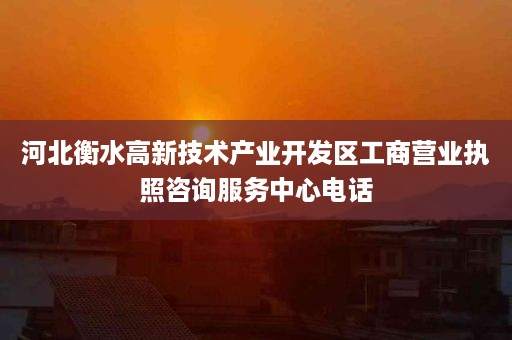 河北衡水高新技术产业开发区工商营业执照咨询服务中心电话