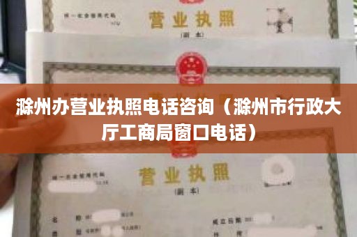 滁州办营业执照电话咨询（滁州市行政大厅工商局窗口电话）