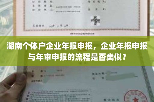 湖南个体户企业年报申报，企业年报申报与年审申报的流程是否类似？