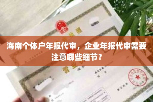 海南个体户年报代审，企业年报代审需要注意哪些细节？