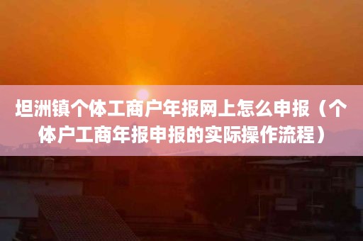 坦洲镇个体工商户年报网上怎么申报（个体户工商年报申报的实际操作流程）