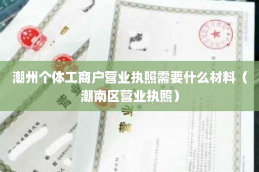 潮州个体工商户营业执照需要什么材料（潮南区营业执照）