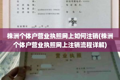 株洲个体户营业执照网上如何注销(株洲个体户营业执照网上注销流程详解)