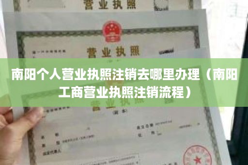 南阳个人营业执照注销去哪里办理（南阳工商营业执照注销流程）