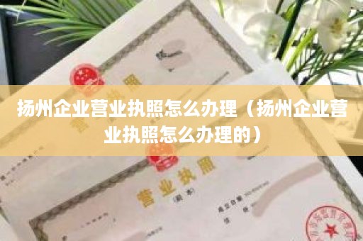 扬州企业营业执照怎么办理（扬州企业营业执照怎么办理的）