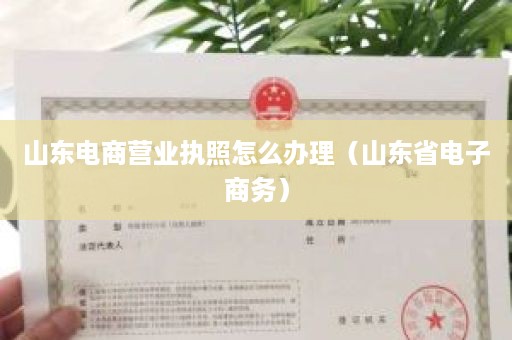 山东电商营业执照怎么办理（山东省电子商务）