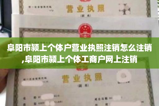 阜阳市颍上个体户营业执照注销怎么注销,阜阳市颍上个体工商户网上注销