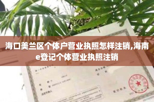 海口美兰区个体户营业执照怎样注销,海南e登记个体营业执照注销