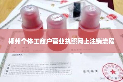 郴州个体工商户营业执照网上注销流程