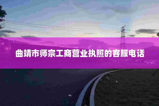 曲靖市师宗工商营业执照的客服电话