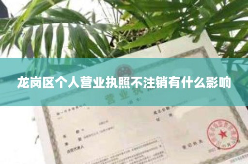 龙岗区个人营业执照不注销有什么影响