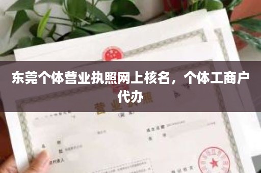 东莞个体营业执照网上核名，个体工商户代办