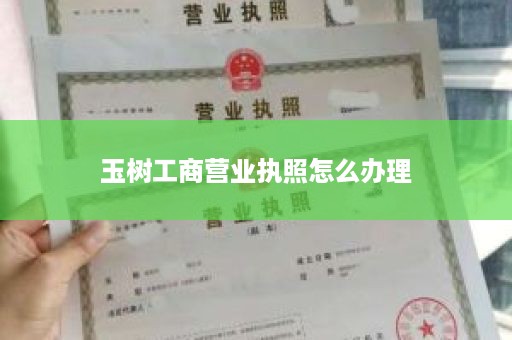 玉树工商营业执照怎么办理