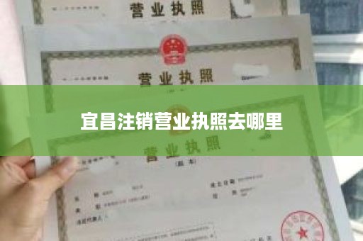 宜昌注销营业执照去哪里