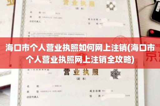 海口市个人营业执照如何网上注销(海口市个人营业执照网上注销全攻略)