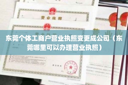 东莞个体工商户营业执照变更成公司（东莞哪里可以办理营业执照）