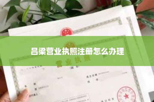 吕梁营业执照注册怎么办理