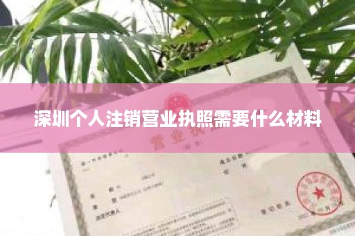 深圳个人注销营业执照需要什么材料