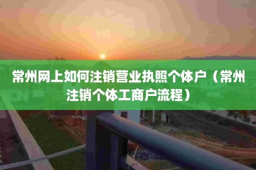 常州网上如何注销营业执照个体户（常州注销个体工商户流程）