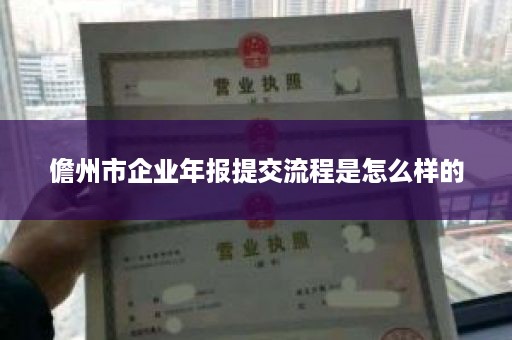 儋州市企业年报提交流程是怎么样的