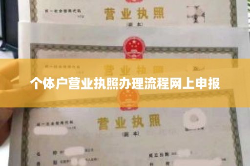 个体户营业执照办理流程网上申报