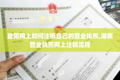 益阳网上如何注销自己的营业执照,湖南营业执照网上注销流程