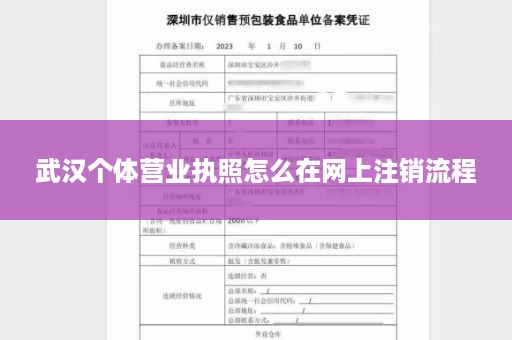 武汉个体营业执照怎么在网上注销流程