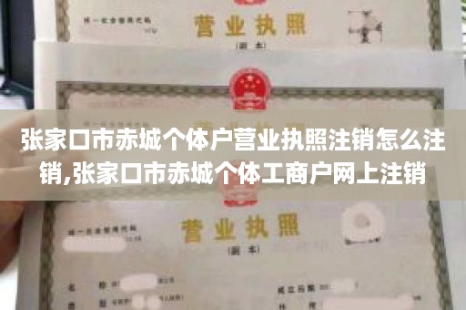 张家口市赤城个体户营业执照注销怎么注销,张家口市赤城个体工商户网上注销