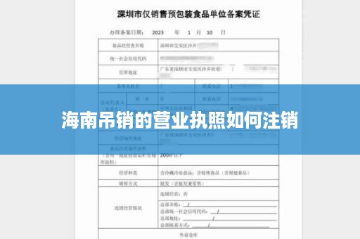 海南吊销的营业执照如何注销