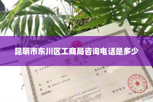 昆明市东川区工商局咨询电话是多少