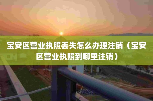 宝安区营业执照丢失怎么办理注销（宝安区营业执照到哪里注销）