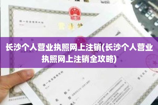 长沙个人营业执照网上注销(长沙个人营业执照网上注销全攻略)