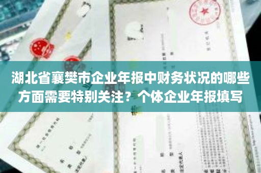 湖北省襄樊市企业年报中财务状况的哪些方面需要特别关注？个体企业年报填写