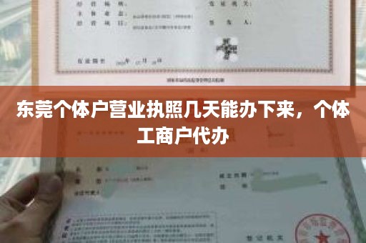 东莞个体户营业执照几天能办下来，个体工商户代办