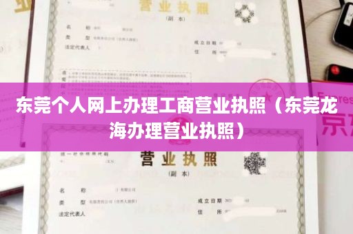 东莞个人网上办理工商营业执照（东莞龙海办理营业执照）