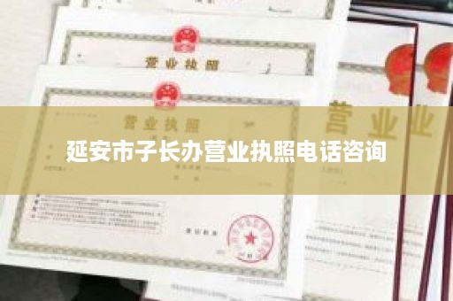 延安市子长办营业执照电话咨询