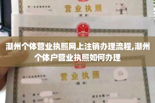 潮州个体营业执照网上注销办理流程,潮州个体户营业执照如何办理