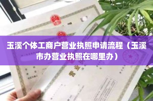 玉溪个体工商户营业执照申请流程（玉溪市办营业执照在哪里办）