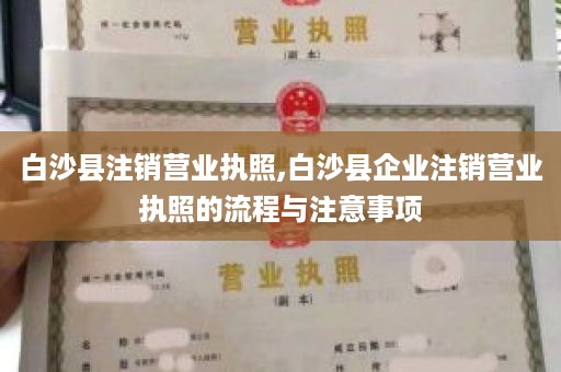 白沙县注销营业执照,白沙县企业注销营业执照的流程与注意事项