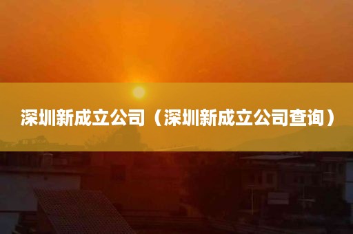 深圳新成立公司（深圳新成立公司查询）