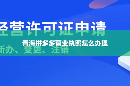 青海拼多多营业执照怎么办理