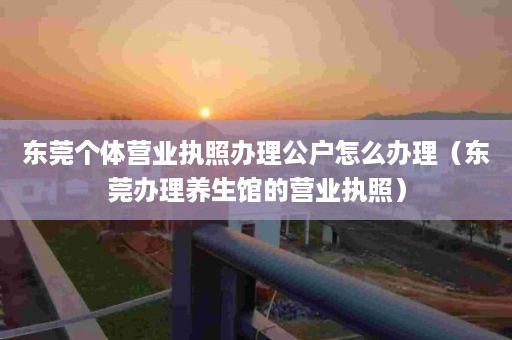 东莞个体营业执照办理公户怎么办理（东莞办理养生馆的营业执照）