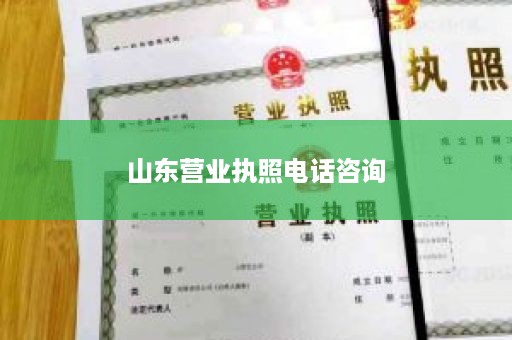 山东营业执照电话咨询