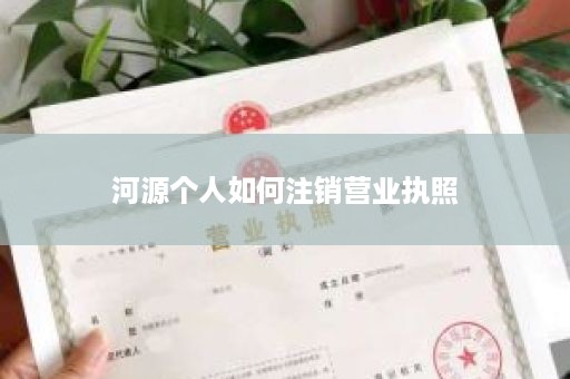 河源个人如何注销营业执照