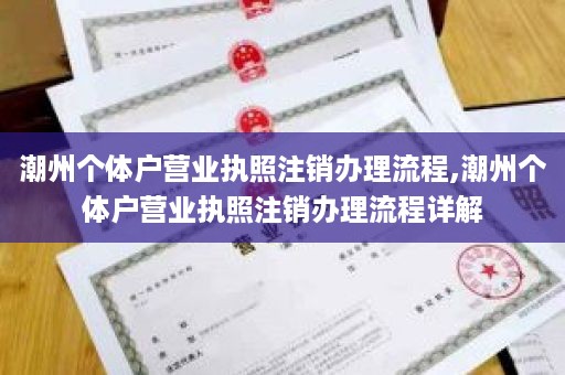 潮州个体户营业执照注销办理流程,潮州个体户营业执照注销办理流程详解