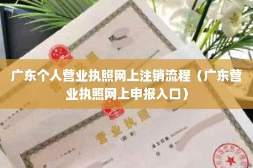 广东个人营业执照网上注销流程（广东营业执照网上申报入口）