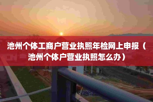 池州个体工商户营业执照年检网上申报（池州个体户营业执照怎么办）