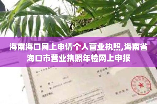 海南海口网上申请个人营业执照,海南省海口市营业执照年检网上申报